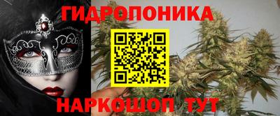 прущие грибы Среднеуральск
